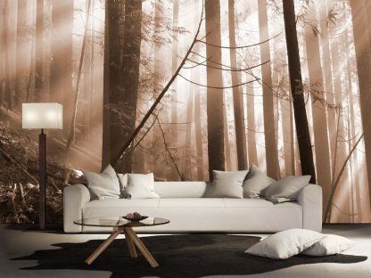 Old Forest Sepia Wall Mural in a Living Room. Forest wallpaper from About Murals.