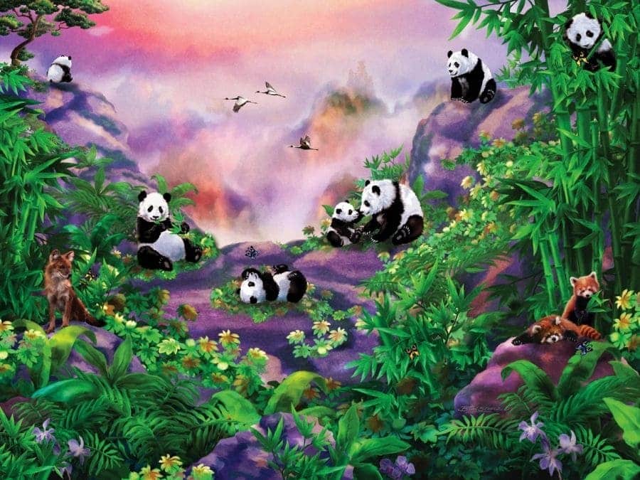 Panda Wall Mural | About Murals