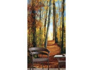 Path of Light wall mural, an autumn themed forest wallpaper, sits behind a wicker chair and table.