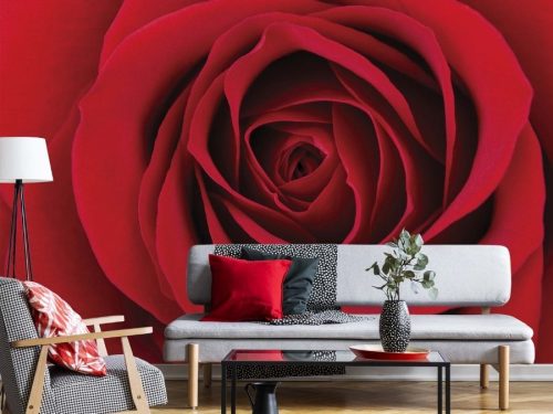 Red Rose Wall Mural, as seen in this living room, features one large flower from About Murals