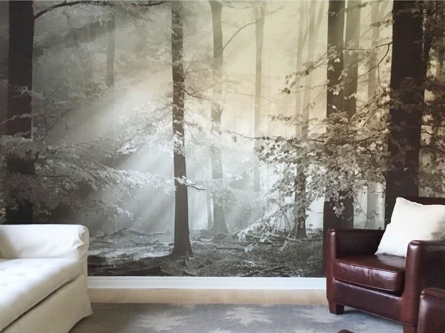 Sinfonia Della Foresta Black and White Wall Mural, as seen in this sitting room, is a photo mural of sun shining into a gray forest from About Murals.