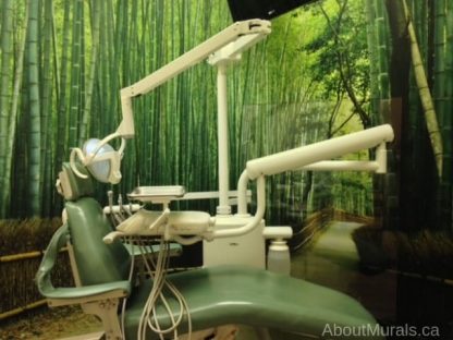 Sagano Bamboo Forest Wall Mural, as seen in this dental office, features a path lined with bamboo trees in Kyoto, Japan. Bamboo wallpaper sold by AboutMurals.ca.