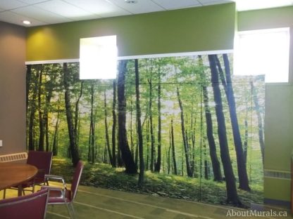 Shadows and Lights Wall Mural, as seen in this church, features green trees in a spring forest. Forest wallpaper sold by AboutMurals.ca.