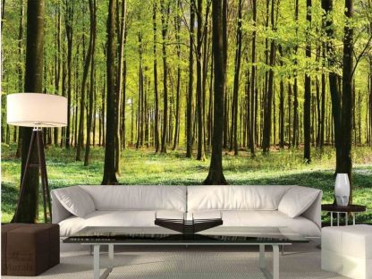 Shadows and Lights Wall Mural in a Living Room - Forest Wallpaper from About Murals