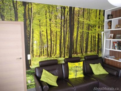 Shadows and Lights Wall Mural, as seen in this living room, features lush green trees in a forest. Forest wallpaper sold by AboutMurals.ca