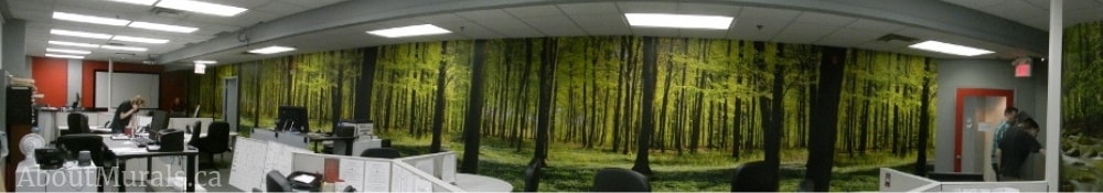 Shadows and Lights Wall Mural, as seen in this office, features green trees in a panoramic forest. Forest wallpaper sold by AboutMurals.ca.