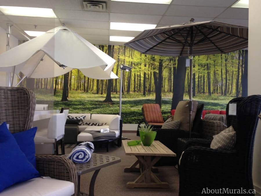 Shadows and Lights Wall Mural, as seen in this retail store, features green trees in a forest. Forest wallpaper sold by AboutMurals.ca.