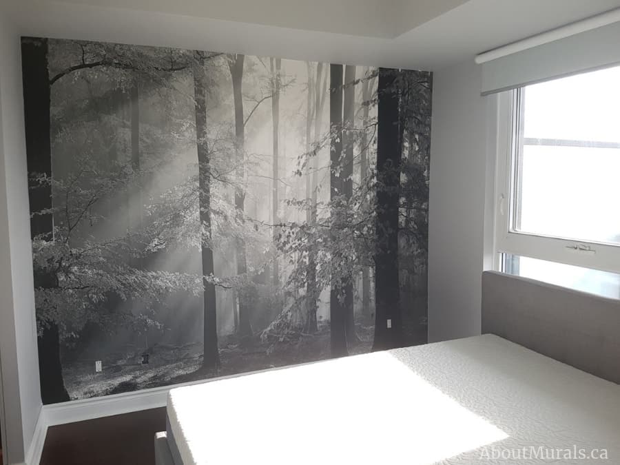 Sinfonia Della Foresta Black and White Wall Mural, as seen in this bedroom, features sunbeams shining through grey trees in an enchanted forest. Forest wallpaper sold by AboutMurals.ca.