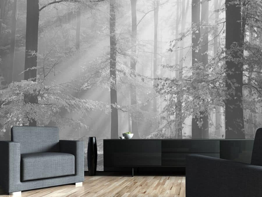 Sinfonia Della Foresta Black and White Wall Mural, as seen in this modern living room, is a photo wallpaper of sunbeams shining through a grey forest from About Murals.