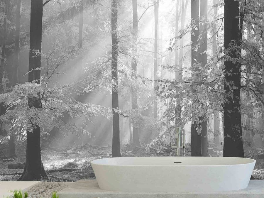 Sinfonia Della Foresta Black and White Wall Mural, as seen in this bathroom, is a forest wallpaper with sunbeams shining onto grey trees from About Murals.