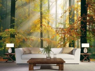 Sinfonia Della Foresta Wall Mural in a Living Room. Autumn Forest Wallpaper from About Murals.