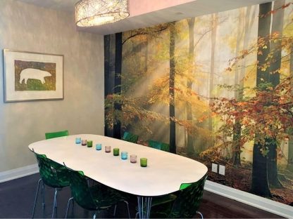 Sunny Autumn Wallpaper, as seen on the wall of this dining room, is a photo mural of sun rays beaming through fall trees in a forest from About Murals.