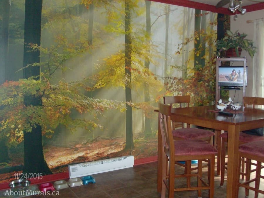 Sunny Autumn Wallpaper, as seen in this kitchen, is a photo wall mural of day light shining through yellow trees in a fall forest from About Murals.