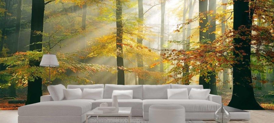 Sunny Autumn Wallpaper, as seen on the wall of this large living room, is a photo mural of bright sun shining through yellow textured trees in a forest from About Murals.