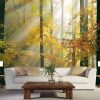 Sunny Autumn Wallpaper, as seen on the wall of this living room, is a photo mural of sunbeams shining through yellow trees in a forest from About Murals.