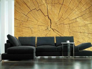 Wood Slab Wallpaper, as seen on the wall of this living room, is a photo mural of a cross section of a log exposing the circles of time in its annual rings from About Murals.