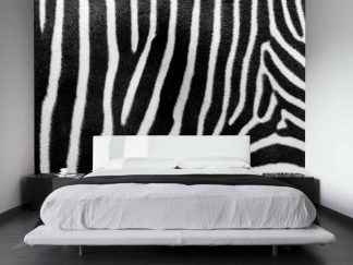 Zebra Print Wallpaper, as seen on the wall of this bedroom, is a close up photo of real black and white zebra hair from About Murals.