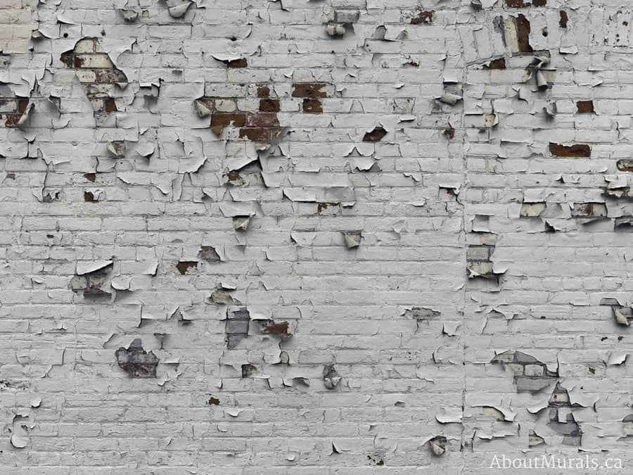 An industrial brick wallpaper with peeling white paint creates an urban feel. Wallpaper sold on AboutMurals.ca