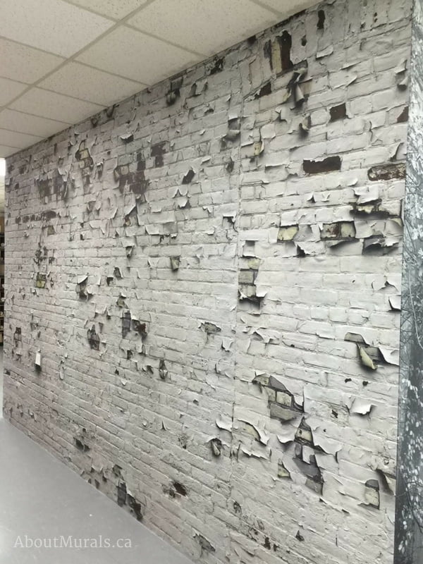 An industrial brick wallpaper with white peeling paint in an office. Sold by AboutMurals.ca