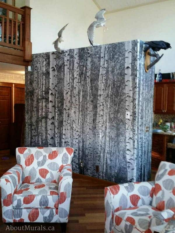 A birch tree wallpaper in black and white (from AboutMurals.ca) separates a living room from a kitchen.