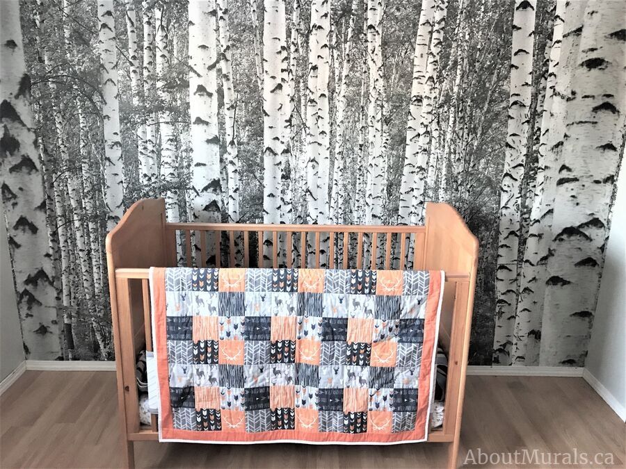 A birch tree wallpaper from AboutMurals.ca is the backdrop to this baby's crib in a nursery