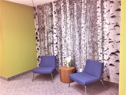A black and white birch tree mural in an office reception area by AboutMurals.ca