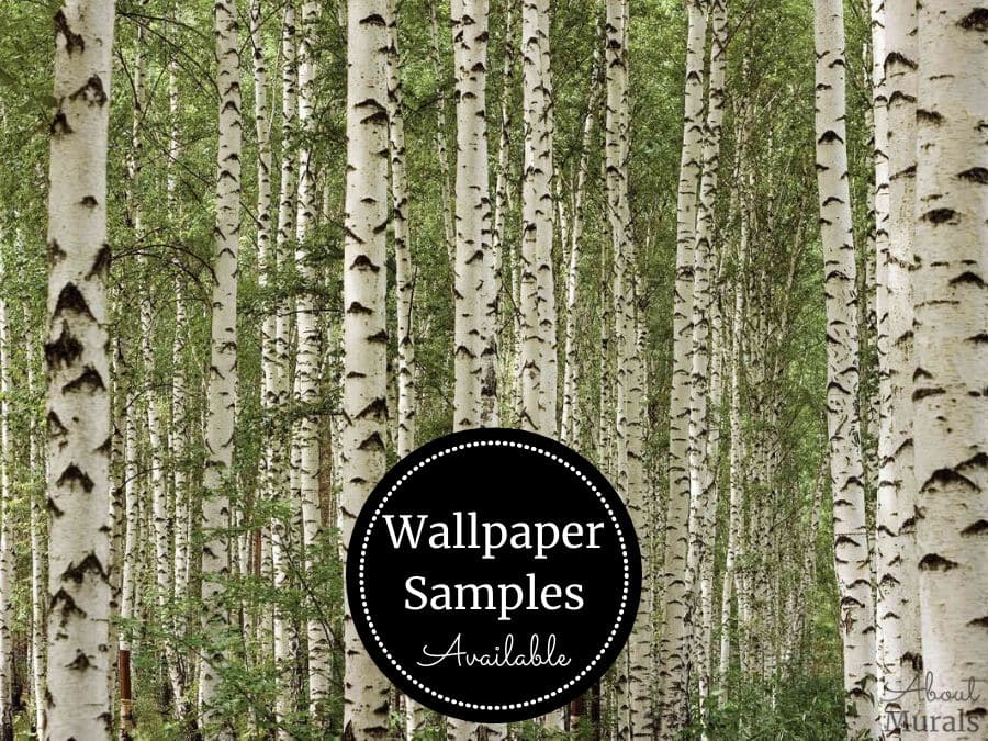 Birch Wallpaper Sample features white and green birch trees. Easy wallpaper sold by AboutMurals.ca