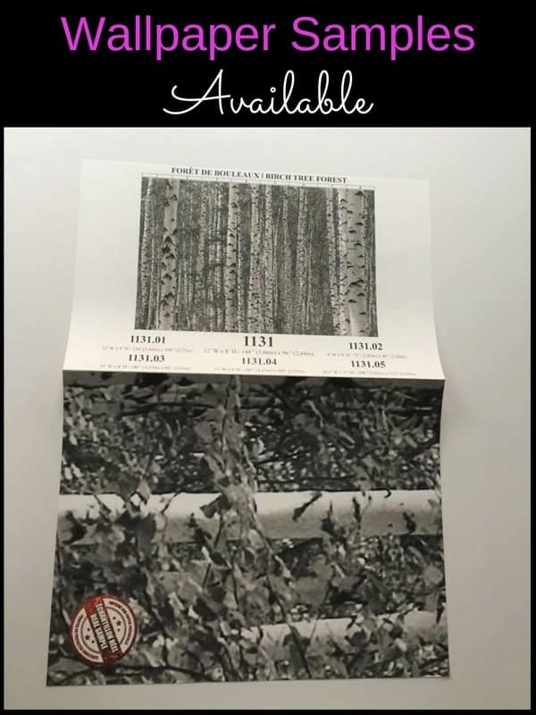 Get a wallpaper sample of this black and white birch tree wallpaper from AboutMurals.ca