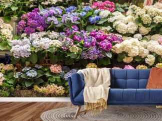 Hydrangea Wall Mural, as seen on the wall of this living room, is a photo wallpaper of pink, purple, blue and white hydrangea flowers in pots on shelves from About Murals.