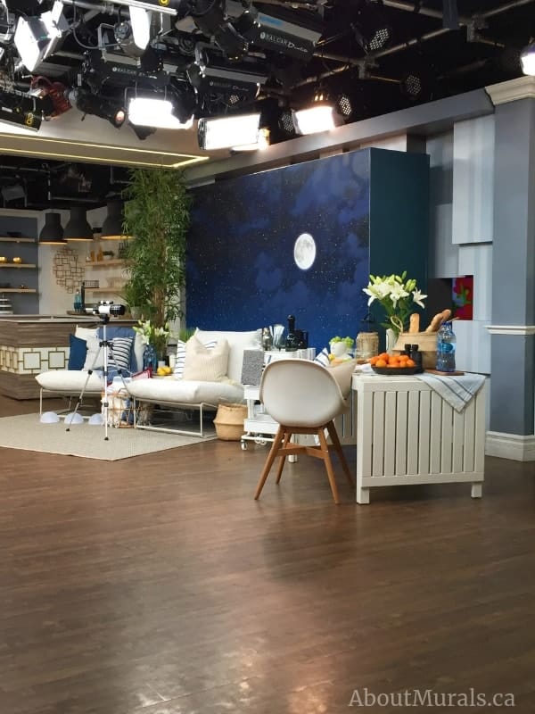Night Sky Mural, as seen on Cityline, features a dreamy moonlit sky with twinkling stars. Easy wallpaper sold by AboutMurals.ca.