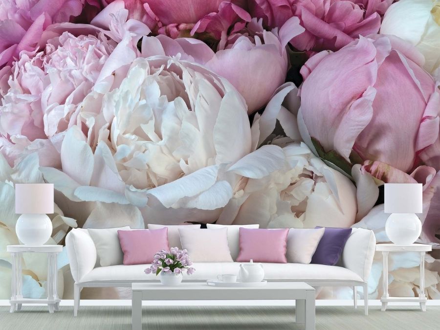 Peony Wallpaper, as seen on the wall of this pink living room, is a high resolution photo wallpaper of large white and pink peonies up close with their petals opening from About Murals.