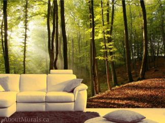 Sunbeams Wallpaper, as seen on the wall of this living room, features sunshine streaming through a forest of green trees. Forest wall murals sold by AboutMurals.ca.