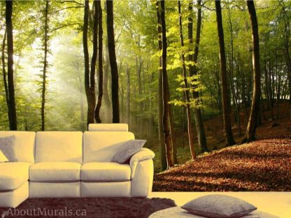 Sunbeams Wallpaper, as seen on the wall of this living room, features sunshine streaming through a forest of green trees. Forest wall murals sold by AboutMurals.ca.