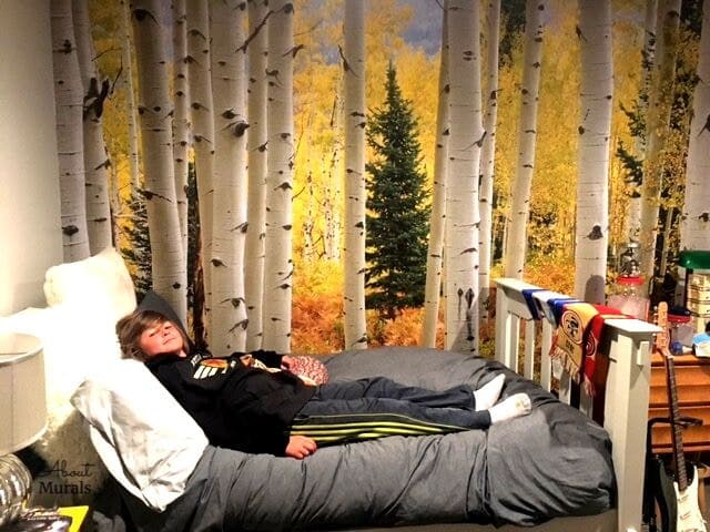 This yellow Aspen tree wallpaper is seen in a boys room. Birch tree wallpaper sold by AboutMurals.ca