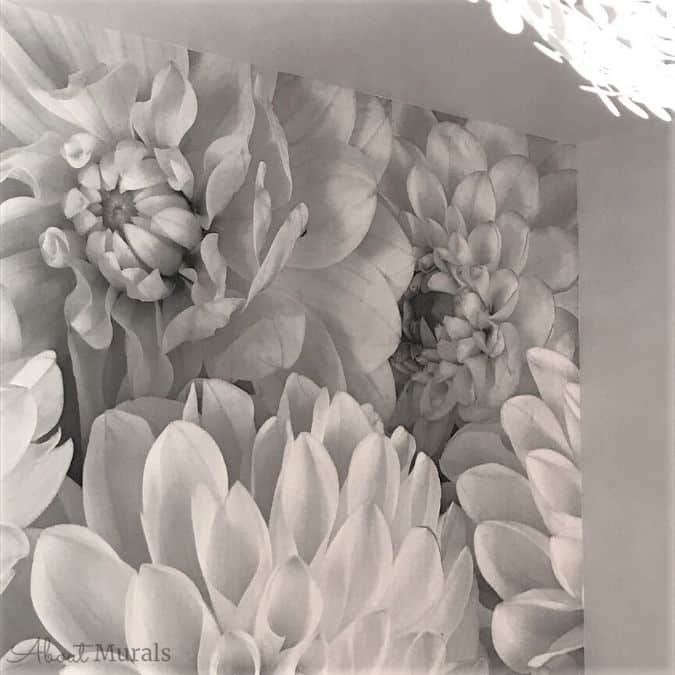 Black and White Flower Wallpaper, as seen on this customer's wall, creates a gorgeous accent wall with gray dahlia flowers. Floral wallpaper from AboutMurals.ca.