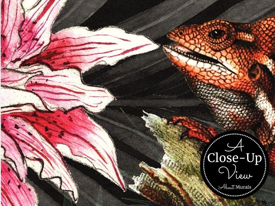 A close-up view of a lizard and pink flower from a Black Tropical Wallpaper sold by About Murals.