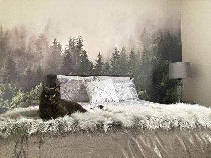 Foggy Forest Wallpaper, as seen on the wall of this master bedroom, is a photo mural of fog settled into pine trees from About Murals.