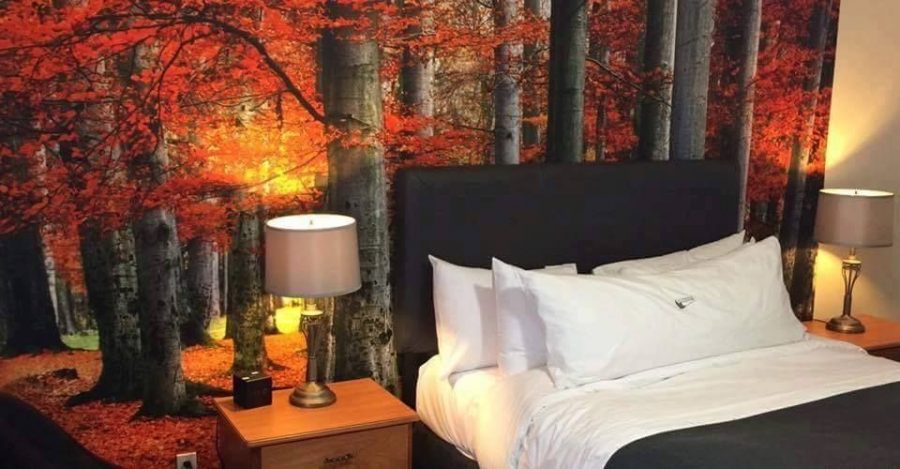 Red Forest Wallpaper, as seen on the wall of this bedroom, features grey trees with red autumn foliage from About Murals.