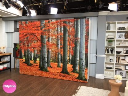 Red Forest Wallpaper, as seen on the wall at Cityline, features a warm fall forest. Autumn forest wallpaper sold by AboutMurals.ca.