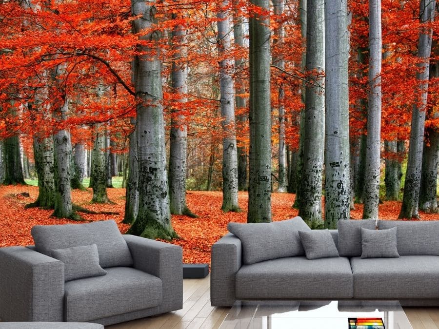 Red Forest Wallpaper, as seen on the wall of this grey and red living room, is a photo mural of autumn trees with vibrant leaves from About Murals.