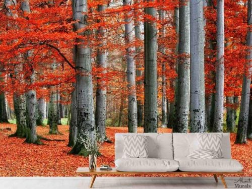 Red Forest Wallpaper, as seen on the walls of this red and grey living room, feels warm with its vibrant beech trees in fall. Autumn forest wallpaper sold by AboutMurals.ca.
