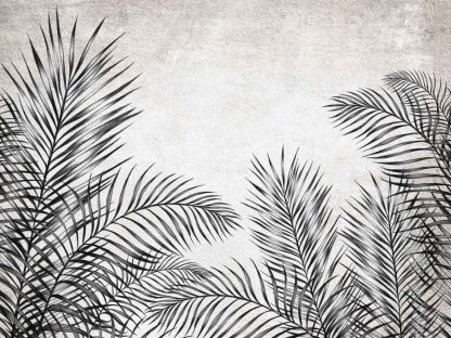 Black and White Leaf Wallpaper features black tropical leaves on a light background from About Murals.