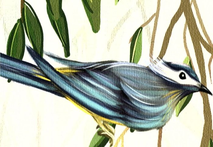 A close-up view of a blue bird in a willow wallpaper from About Murals.