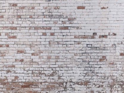 Distressed Brick Wallpaper is a faux brick wallpaper with white paint deteriorating over orange bricks from About Murals.