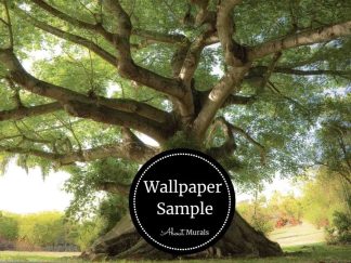Old Tree Mural is a forest wallpaper with kapok tropical tree. Wallpaper samples available from About Murals.