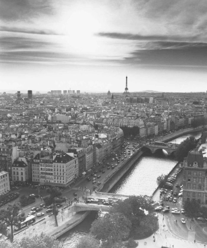 Paris Wallpaper is a black and white photo mural of the French cityscape including the Eiffel Tower, La Seine and historical architecture from About Murals.