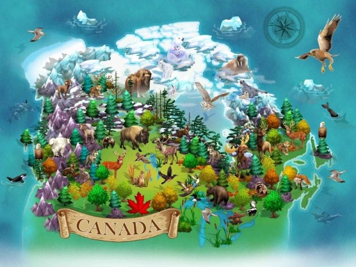 Animal Map Wallpaper is a kids mural of animals in Canada surrounded by the Rocky mountains, pine and maple tree forest and oceans from About Murals.