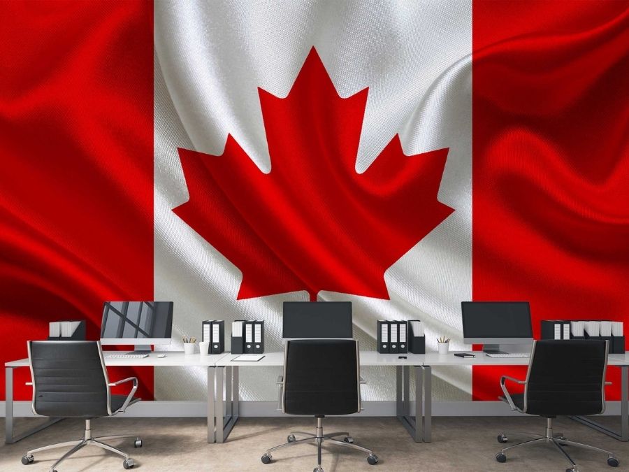 Canadian Flag Wallpaper, as seen on the wall of this office, features the red and white flag proudly blowing in the wind from About Murals.