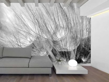 Black and White Dandelion Wallpaper, as seen on the wall of this living room, is a flower photo wallpaper of large grey dandelion seeds from About Murals.