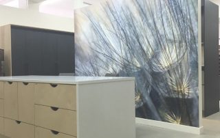 Purple Blue Dandelion Wallpaper, as seen on the wall of this office, is a flower mural with large dandelion seeds against a green and blue background from About Murals.